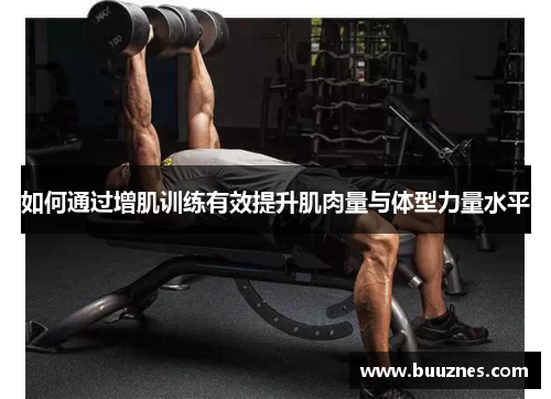 如何通过增肌训练有效提升肌肉量与体型力量水平