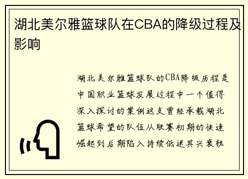 湖北美尔雅篮球队在CBA的降级过程及影响