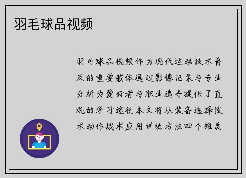 羽毛球品视频