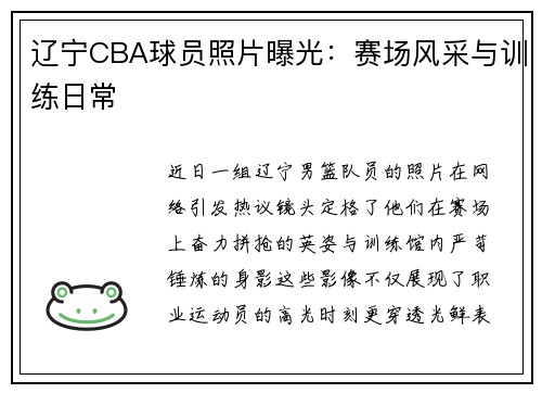 辽宁CBA球员照片曝光：赛场风采与训练日常