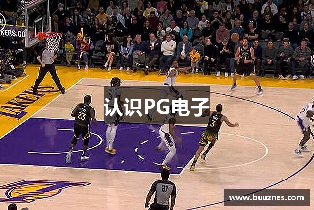 认识PG电子